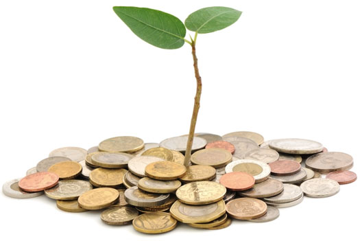 Small plant with two leaves growing out of a pile of coins